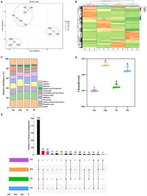 Diversity and correlation analysis of different root exudates on the regulation of microbial structure and function in soil planted with Panax notoginseng